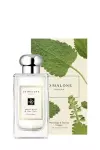 Jo Malone London Wood Sage & Sea Salt Cologne 100ml 